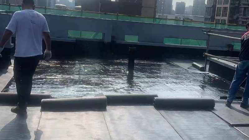 大跨度桥梁防水：选对涂料型号比价格更重要